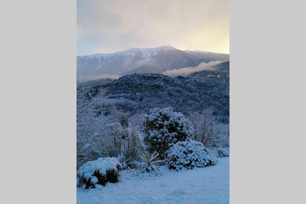Les Villas Dorees - Villa Soleil Face Au Mont Ventoux Plaisians Εξωτερικό φωτογραφία
