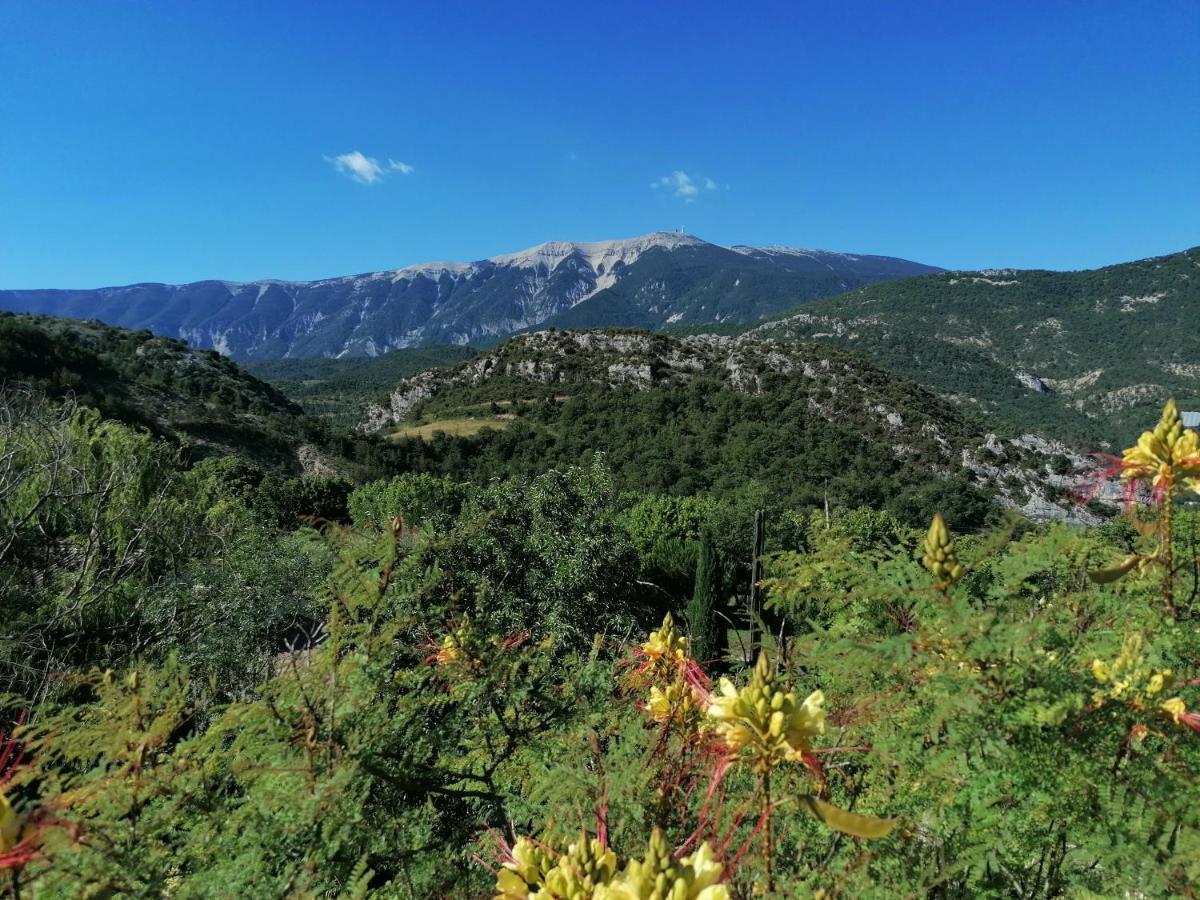 Les Villas Dorees - Villa Soleil Face Au Mont Ventoux Plaisians Εξωτερικό φωτογραφία